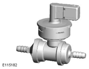 G11589514
