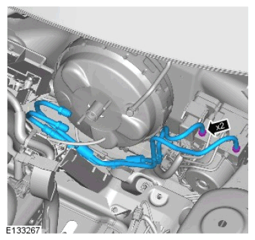 G11589526