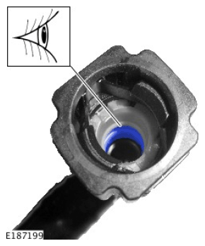 G11589539