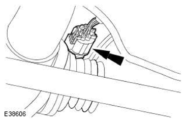 G11589888