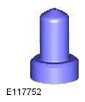 G11589899