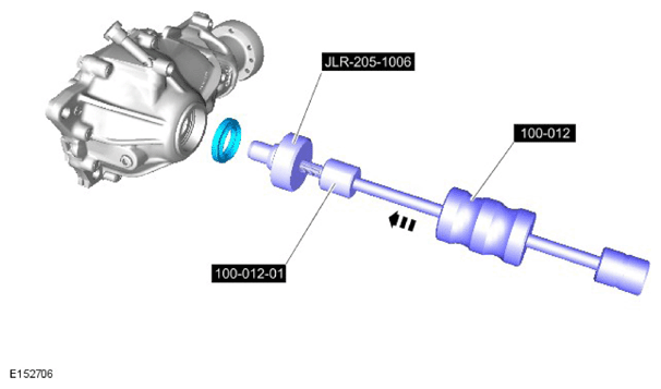 G11589981
