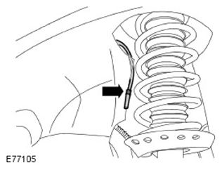 G11591802