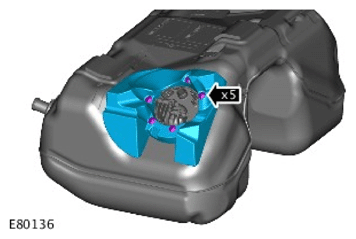 G11591819