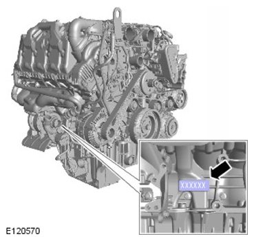 G11592298