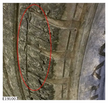 G11592624