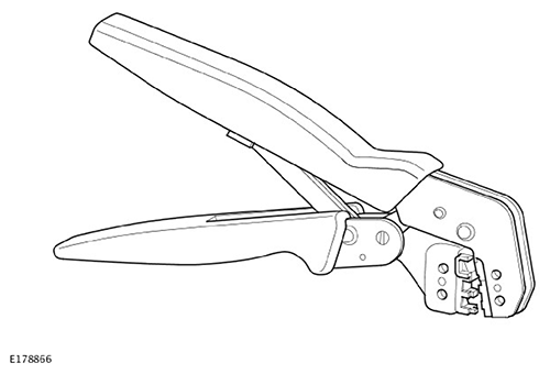 G11593351