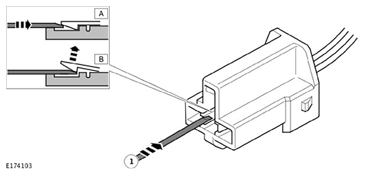 G11593359