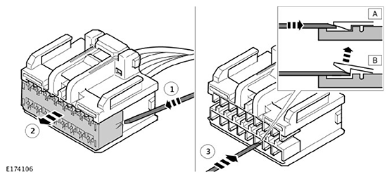 G11593362