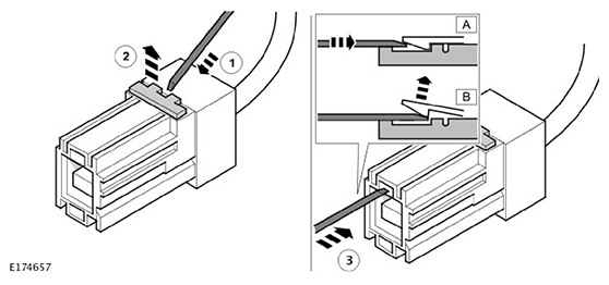 G11593365
