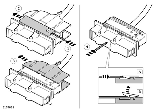G11593366