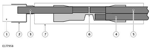G11593369