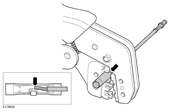 G11593374