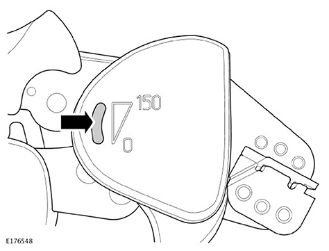 G11593378