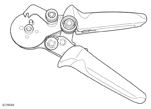 G11593379