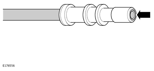 G11593380