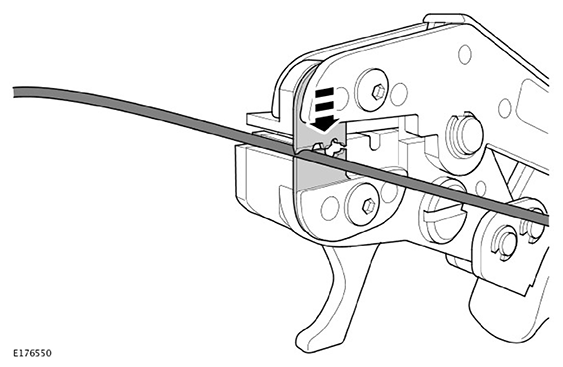 G11593382