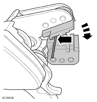 G11593385