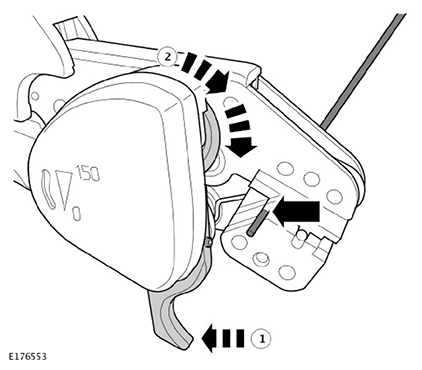 G11593386