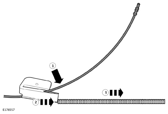 G11593390