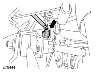 G11593392