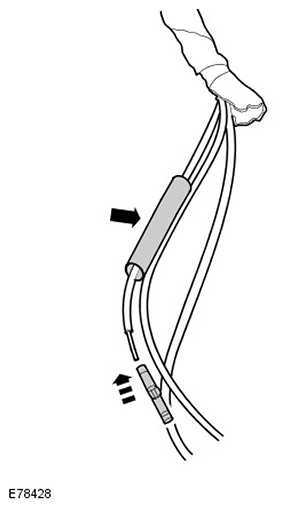 G11593394