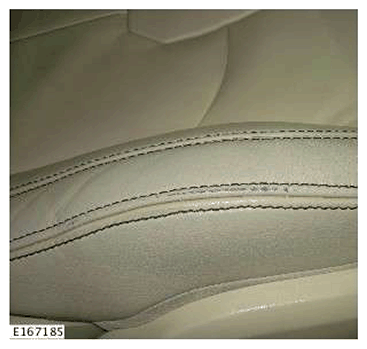 G11593684