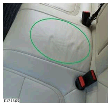 G11593689