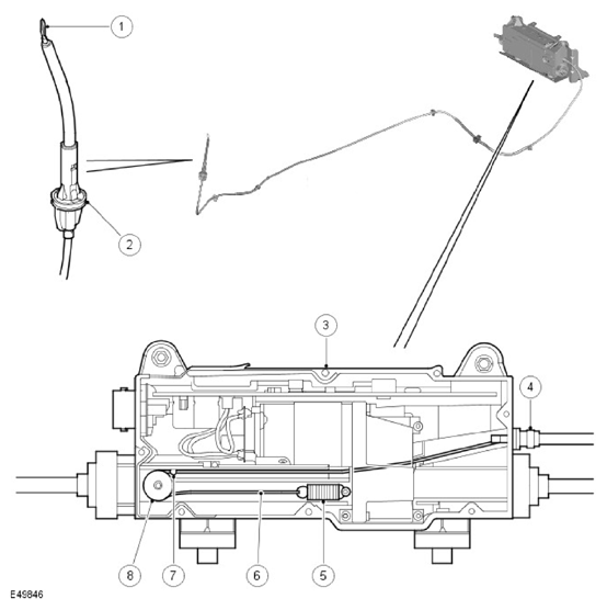 G11597233