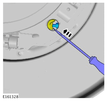 G11597242