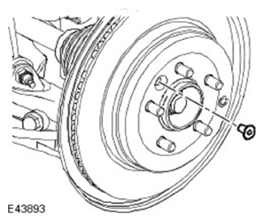 G11597252