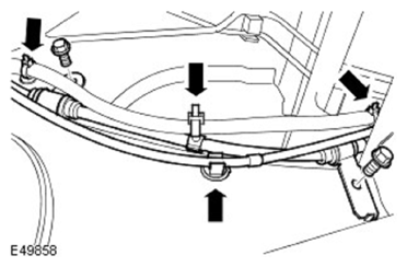 G11597254