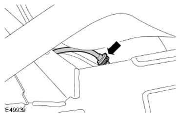 G11597255