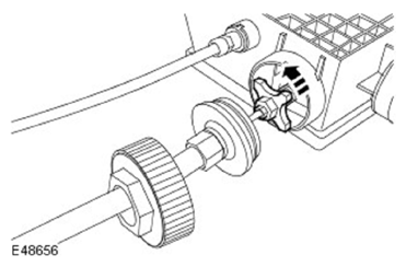 G11597256