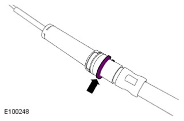 G11597257