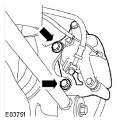 G11597287
