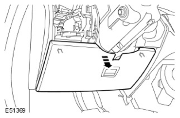G11597308