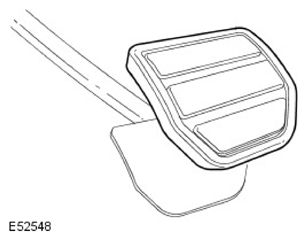 G11597312