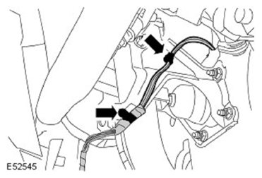 G11597318