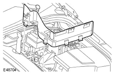 G11597328