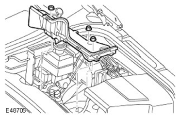 G11597330