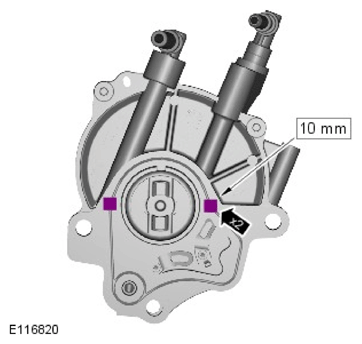 G11597347