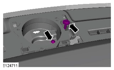 G11597758