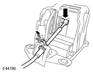 G11597770