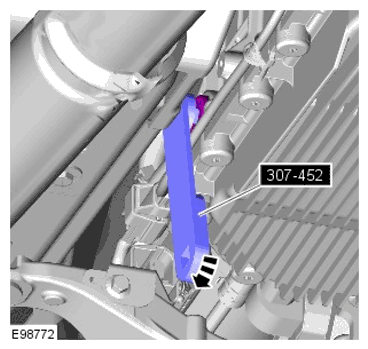 G11599681