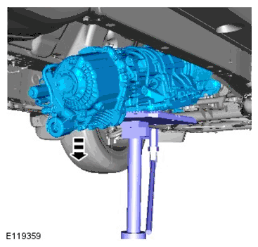 G11599793