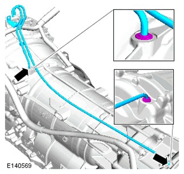 G11599840
