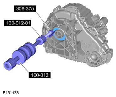 G11599845