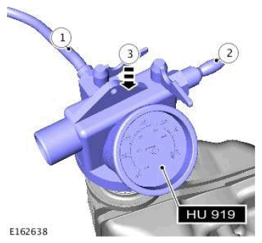 G11601052
