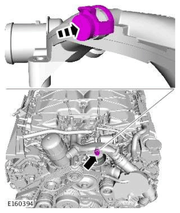 G11601181